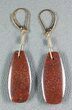 Dark Red Agatized Dinosaur Bone (Gembone) Earrings #54079-2